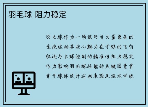 羽毛球 阻力稳定