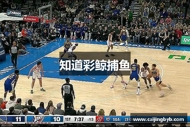 知道彩鲸捕鱼